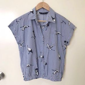 Zara bird top
